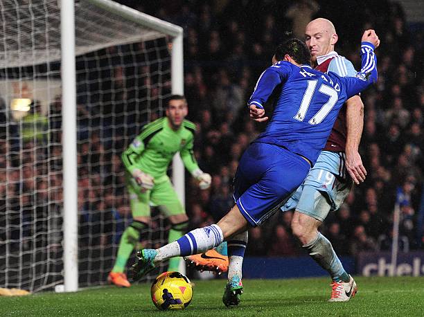 森林狼展现 森林狼展现